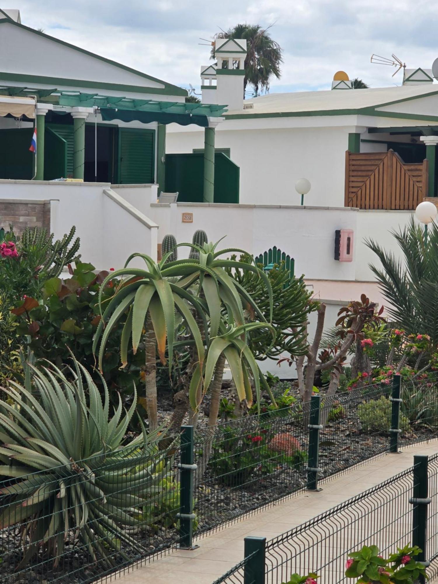 The Sunflower Maspalomas  Exteriör bild
